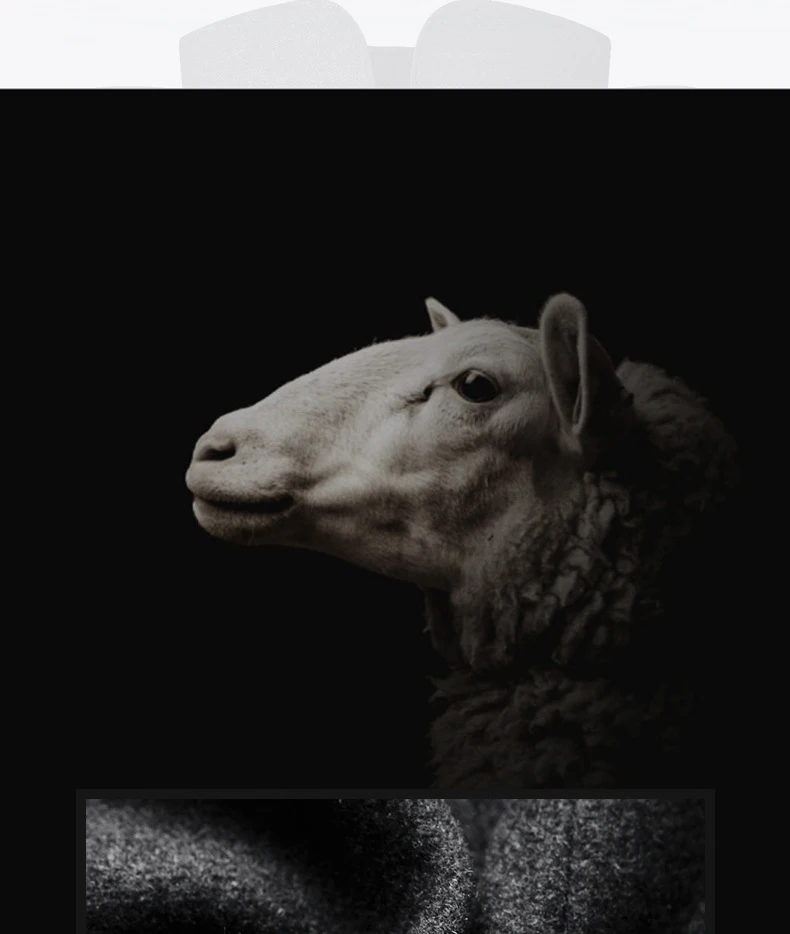 BROWON Brand Winter Jacket Men Chinese Style Stand Collar Solid Coats for Men 2025, Autumn and Winter Business Casual Woolen Jacket